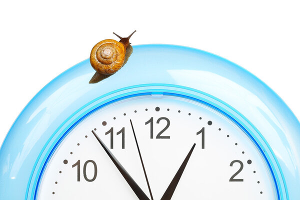 Grape snail climbing on a clock