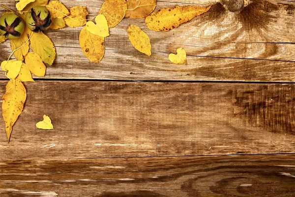 Eski ahşap sonbahar yaprakları — Stok fotoğraf