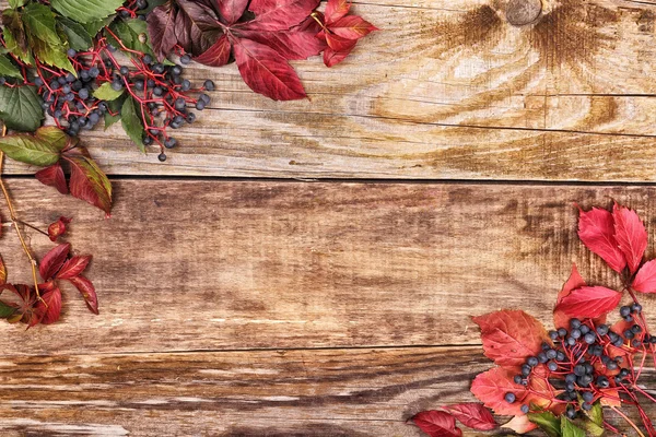 Autumn leaves on old wood — Stock Photo, Image