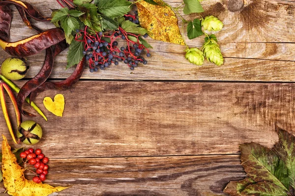 Autumn leaves on old wood — Stock Photo, Image