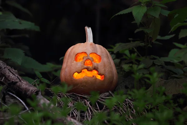 Calabaza de Halloween — Foto de Stock