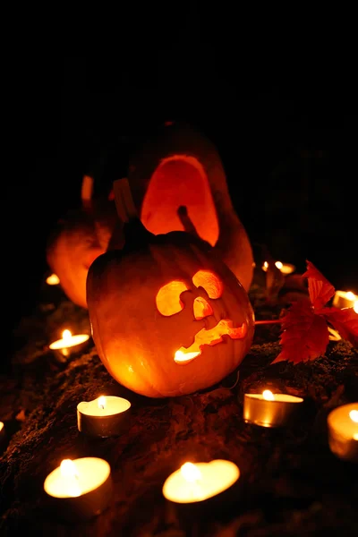 Citrouilles et bougies d'Halloween — Photo