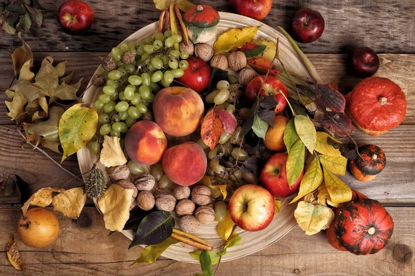 Autumn still life — Stock Photo, Image