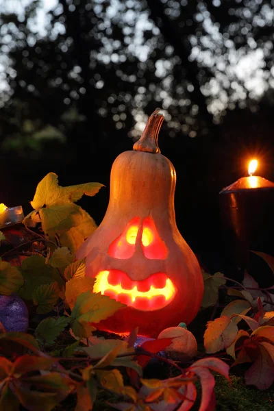 Lanterne de citrouille Halloween — Photo