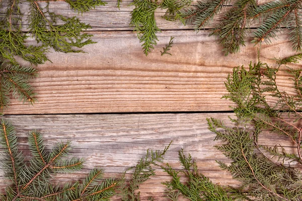 Christmas evergreen branches frame — Stock Photo, Image