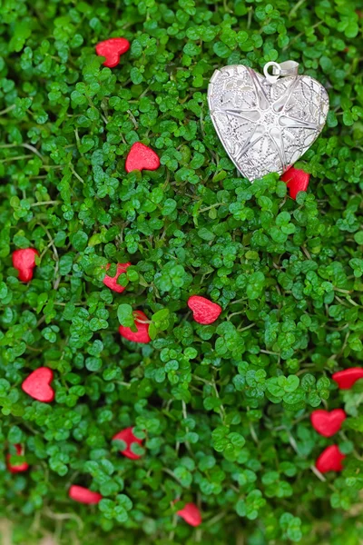 Corazón de plata en la hierba verde —  Fotos de Stock