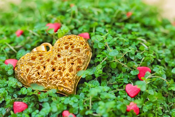 Золотое сердце на зеленой траве — стоковое фото
