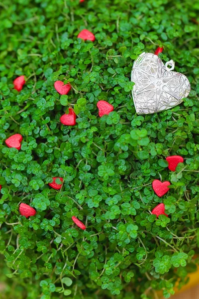 Yeşil çimenlerin üzerinde gümüş kalp — Stok fotoğraf