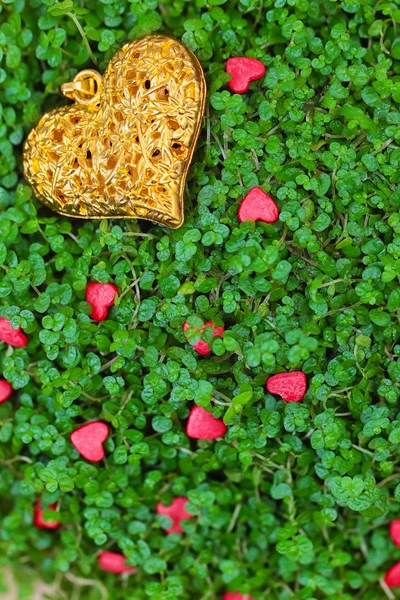 Gyllene hjärtat på det gröna gräset — Stockfoto