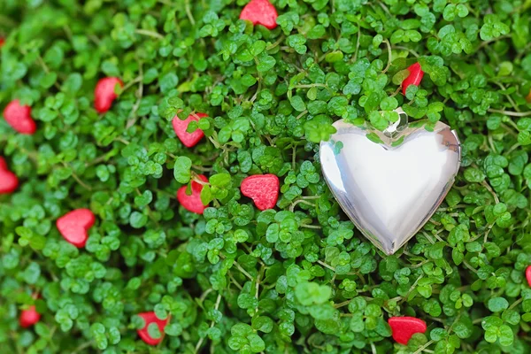 Cuore d'argento sull'erba verde — Foto Stock