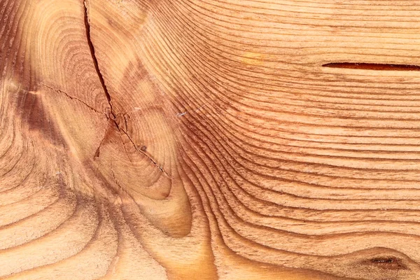 Gegolfd houtstructuur macro weergave — Stockfoto