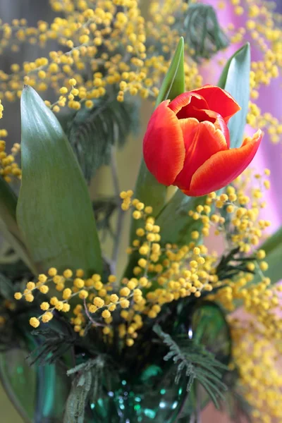 Martwa natura z czerwonym tulipany żółte pachnące Mimoza — Zdjęcie stockowe