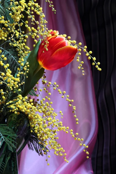 Stillleben mit roten Tulpen gelb duftende Mimosen — Stockfoto