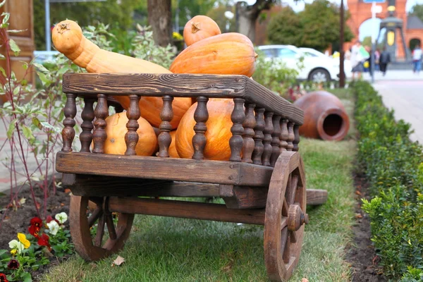 Carro pieno di zucche — Foto Stock