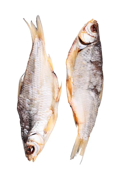 Deux poissons séchés isolés sur blanc — Photo