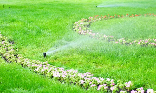 Sprinkler water on the grass — Stock Photo, Image