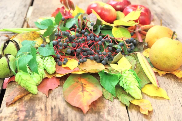 Nature morte d'automne avec raisin sauvage, pommes et plus — Photo