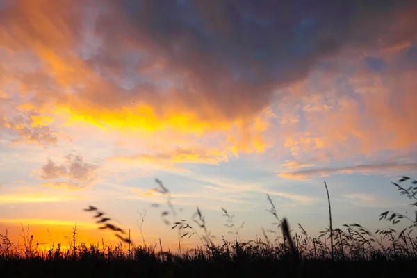 绿色的草地，在橘黄色的夕阳 — 图库照片