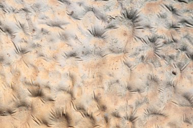 kabartma çimento duvar arka plan