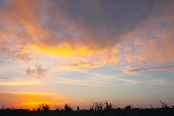 绿色的草地，在橘黄色的夕阳 — 图库照片