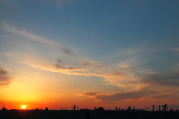 Зеленый луг на оранжевом закате — стоковое фото