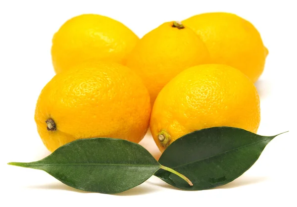 Limón y hoja — Foto de Stock