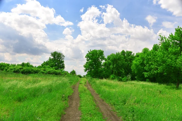 Campo — Foto Stock