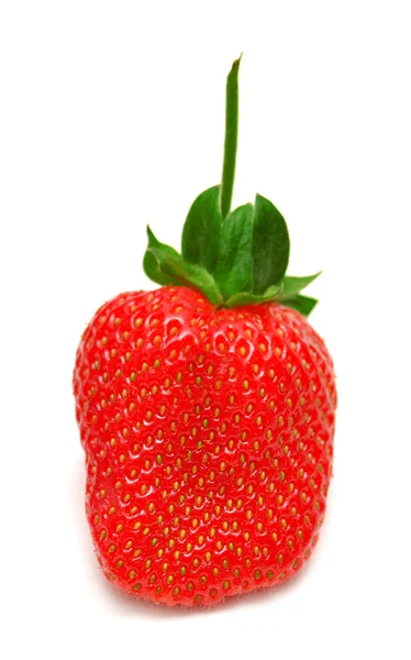 Aardbeien — Stockfoto