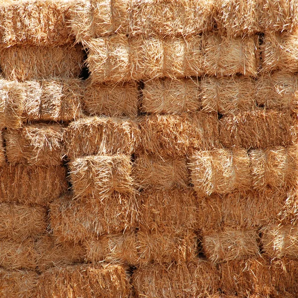 Haystack — Stock Photo, Image