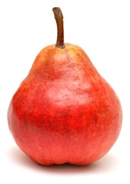 Red pear clipart