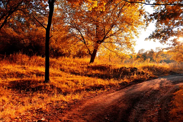 Herbst — Stockfoto