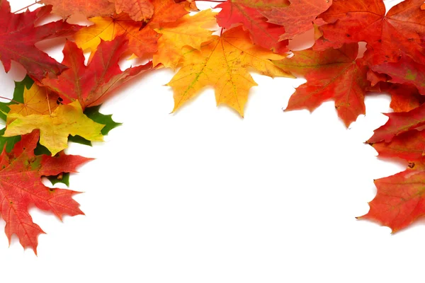 Autumn card — Stock Photo, Image
