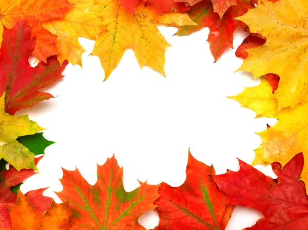 Autumn card — Stock Photo, Image