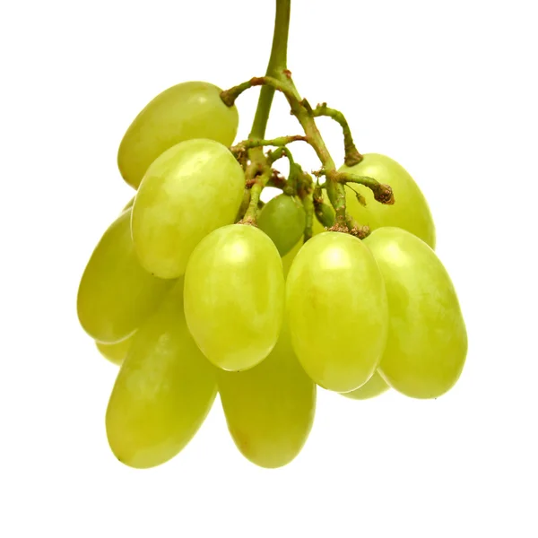 Uvas verdes — Foto de Stock