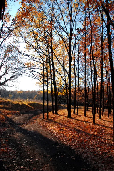 Herbst — Stockfoto