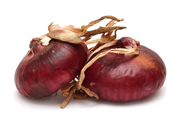 Onion — Stock Image Onion Royalty Free Stock Images