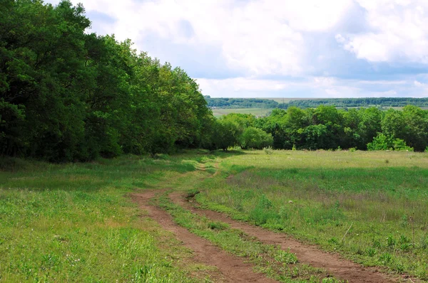 Bomen — Stockfoto