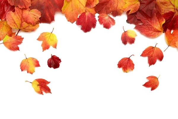 Herbstkarte — Stockfoto