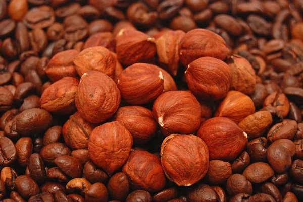 Café y frutos secos — Foto de Stock