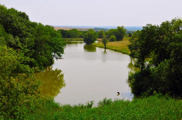 Río — Foto de Stock