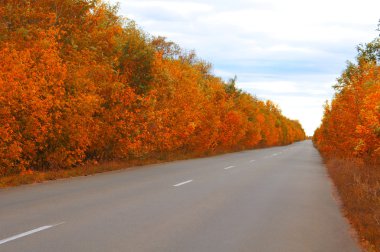 uzun yol.