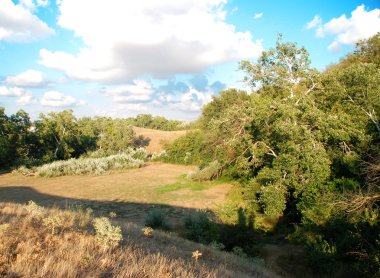 dağ ağaçta mavi gökyüzü ile