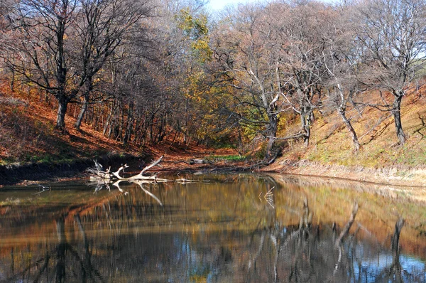 Autumn landscape — Stock Photo, Image