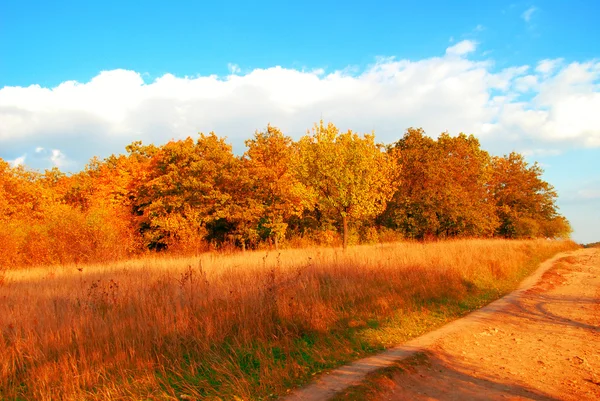 Autunno — Foto Stock