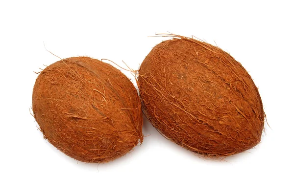 Twee kokosnoot — Stockfoto