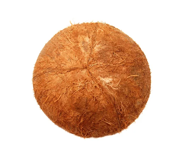 Coconut — Stock Photo, Image