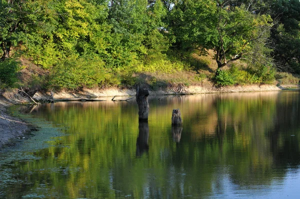 Fiume — Foto Stock