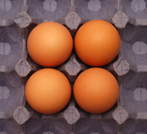 Eggs — Stock Photo, Image