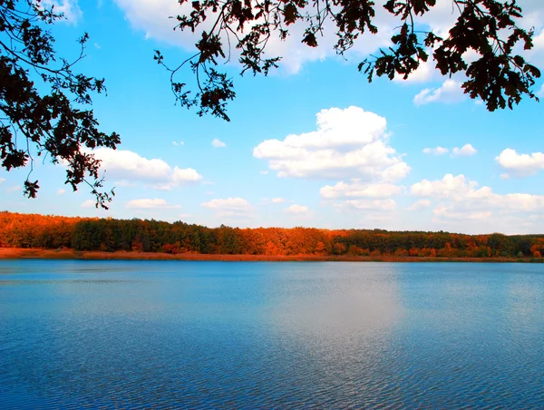 Paysage automnal avec arbres et rivières — Photo