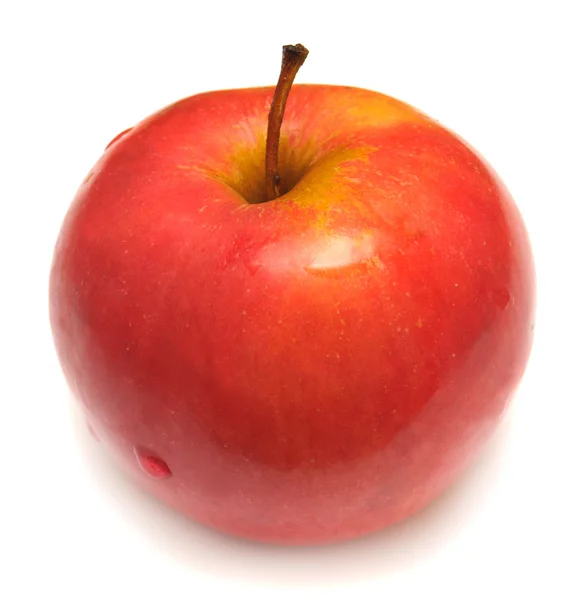 Manzana roja — Foto de Stock